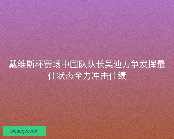 戴维斯杯赛场中国队队长吴迪力争发挥最佳状态全力冲击佳绩