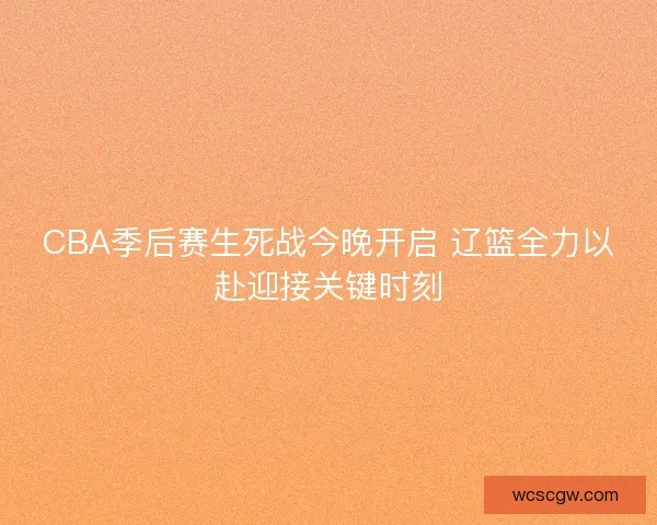 CBA季后赛生死战今晚开启 辽篮全力以赴迎接关键时刻